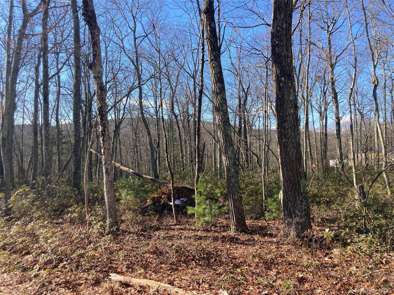 00 Hoeppner Drive - Photo 1