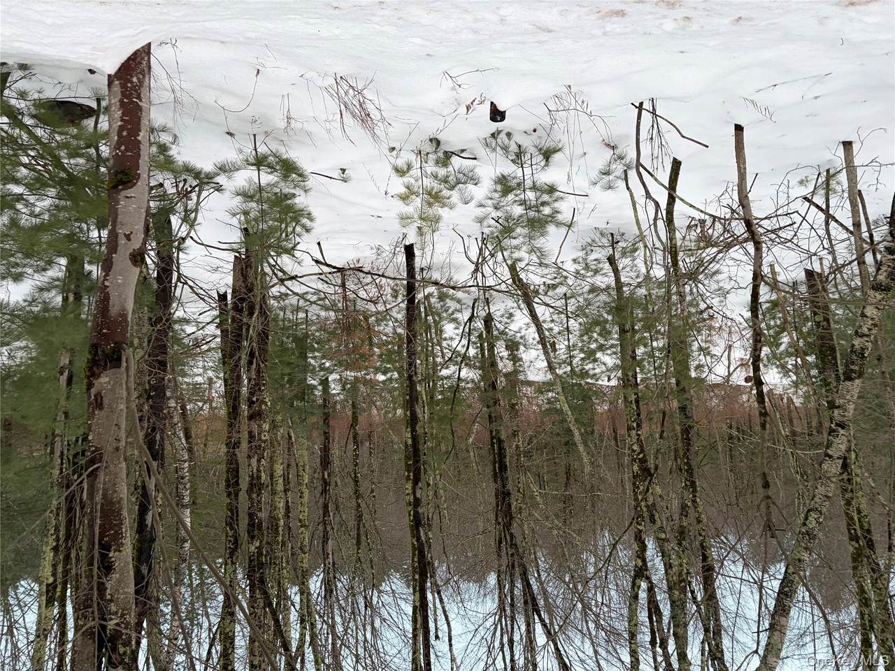  00 Moscoe Road - Photo 1