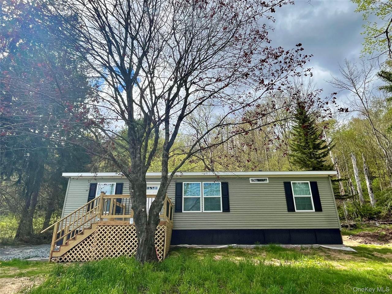317 Debruce Road - Photo 1