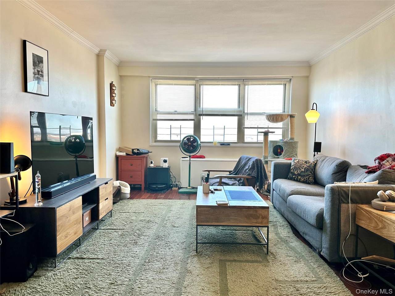 102-30 66th Road - Photo 1