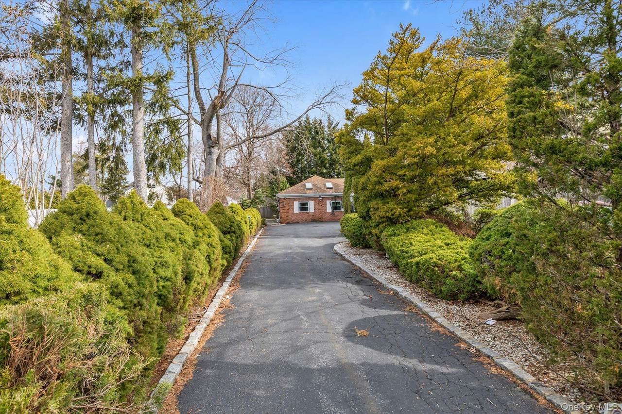 84 Horton Place - Photo 1