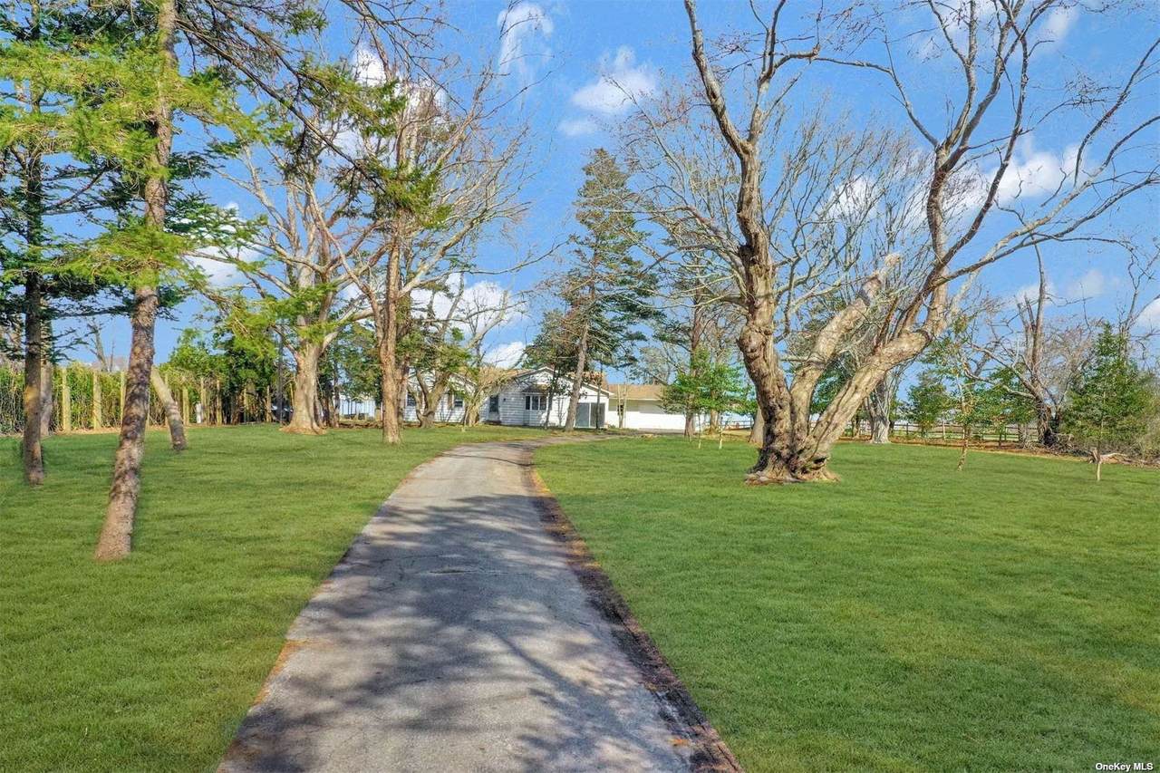 41 Tuthill Point Road - Photo 1