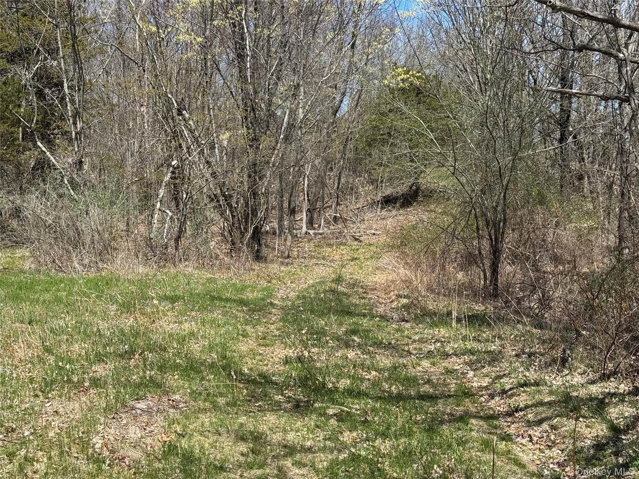 0 County Route 10 - Photo 1