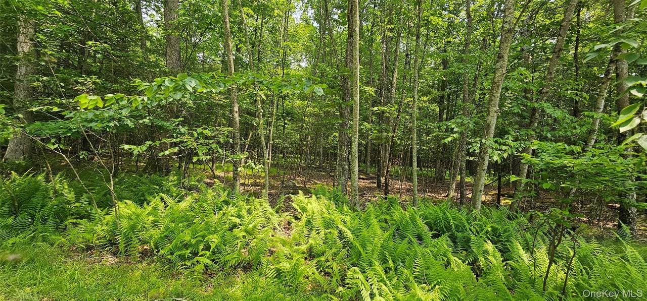 Lot 3 Woods Road - Photo 1