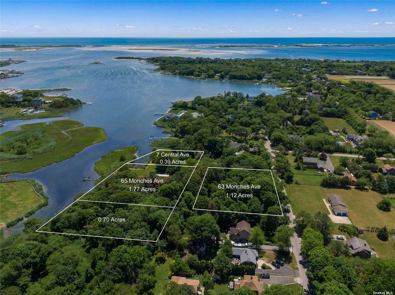 65 Moriches Avenue - Photo 1