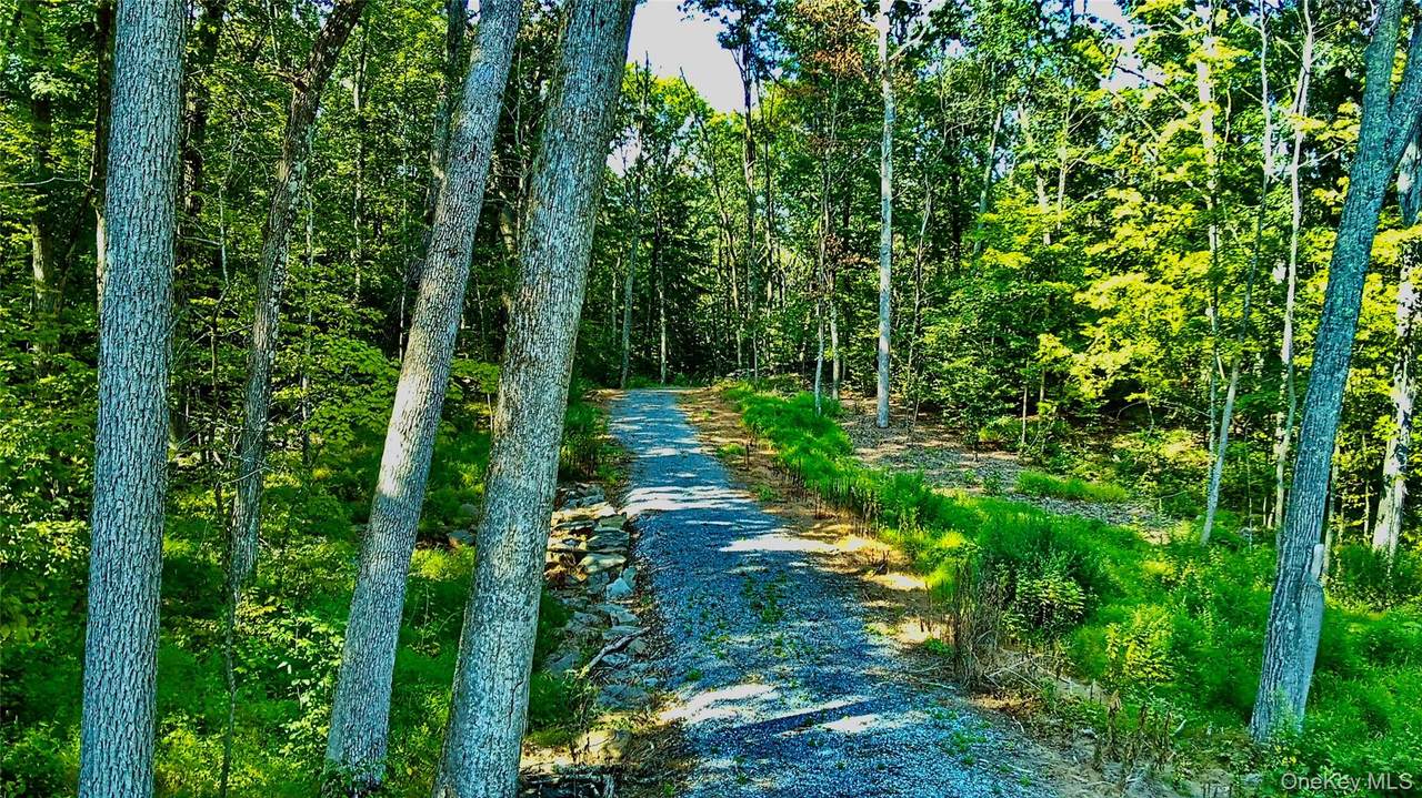 80 Forever Ivy Lane - Photo 1