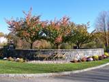 603 Trump Park - Photo 4