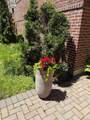 76-12 35th Avenue - Photo 9