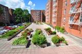 29 Abeel Street - Photo 4