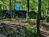 101 Stone Road - Photo 18