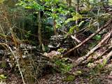 101 Stone Road - Photo 21