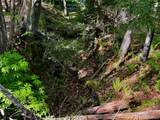 101 Stone Road - Photo 23
