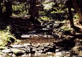  Shandelee Road - Photo 6