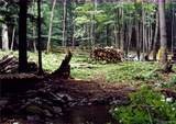  Shandelee Road - Photo 10