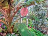 56 Edwards Street - Photo 19