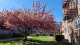 66-10 111 Street - Photo 15