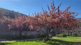 66-10 111 Street - Photo 3