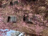150-29 72 Rd - Photo 13