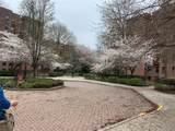 150-29 72 Rd - Photo 15