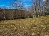  Hog Mountain - Photo 14