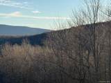 Hog Mountain - Photo 16