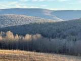  Hog Mountain - Photo 4