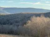  Hog Mountain - Photo 6