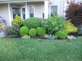 601 Willow Pond Drive - Photo 3