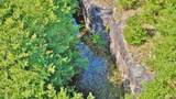 Marsh Rd - Photo 11