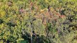 50 Winston Lane - Photo 13