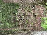  Creamery Road - Photo 11