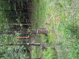  Creamery Road - Photo 14