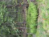  Creamery Road - Photo 15