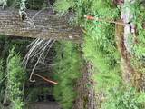  Creamery Road - Photo 5