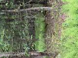  Creamery Road - Photo 6