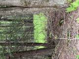  Creamery Road - Photo 8