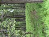  Creamery Road - Photo 10