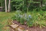 11 Mary Lou Lane - Photo 27
