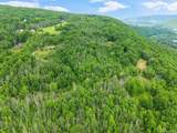127 Grassy Road - Photo 43
