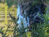 4 Cold Creek Pass - Photo 3