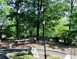 13 Carrollwood Drive - Photo 14
