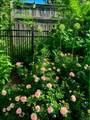 200 Nelson Avenue - Photo 30