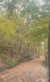  Mile High Road - Photo 6