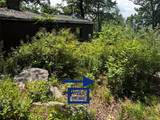 560 Oscawana Lake Road - Photo 13