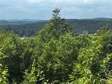560 Oscawana Lake Road - Photo 14