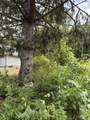 33 Nichols Road - Photo 1