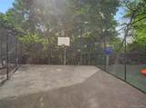11 Balint - Photo 28