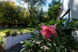 164 Mountain Road - Photo 47