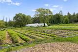 1389 Route 212 - Photo 48