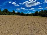 513 Rossway Road - Photo 7